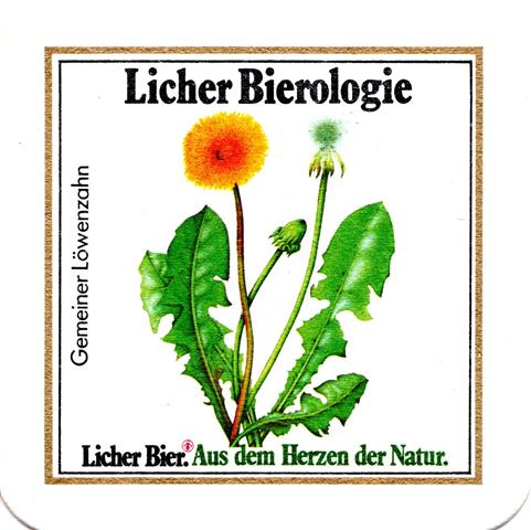 lich gi-he licher biero blu eckig 6b (quad185-gemeiner lwenzahn)